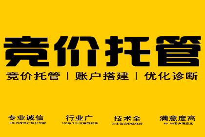 专业sem托管服务案例，揭秘广告投放优化策略